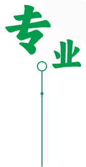 专业服务